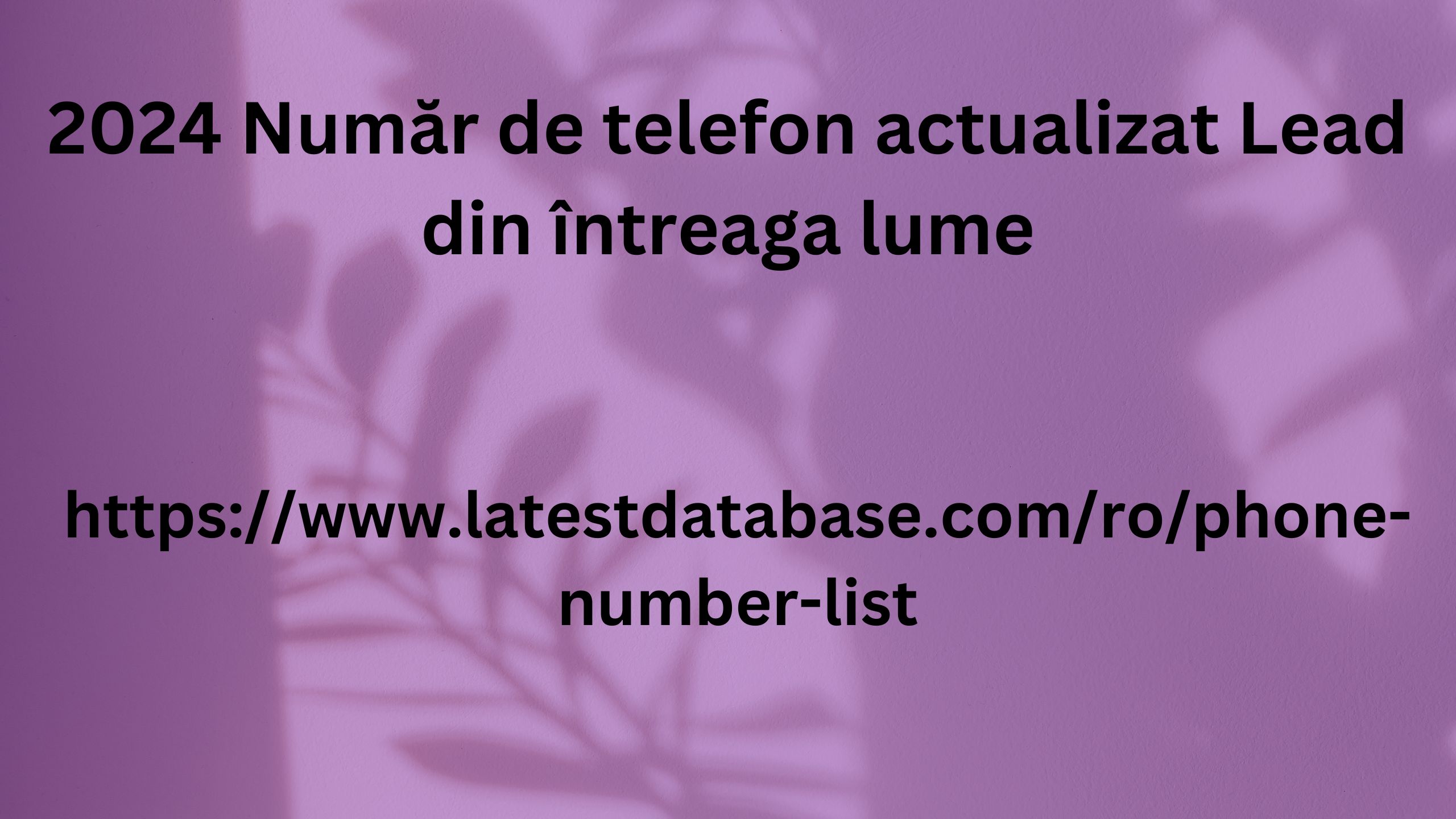 2024 Număr de telefon actualizat Lead din întreaga lume 