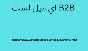 B2B اي ميل لسٽ