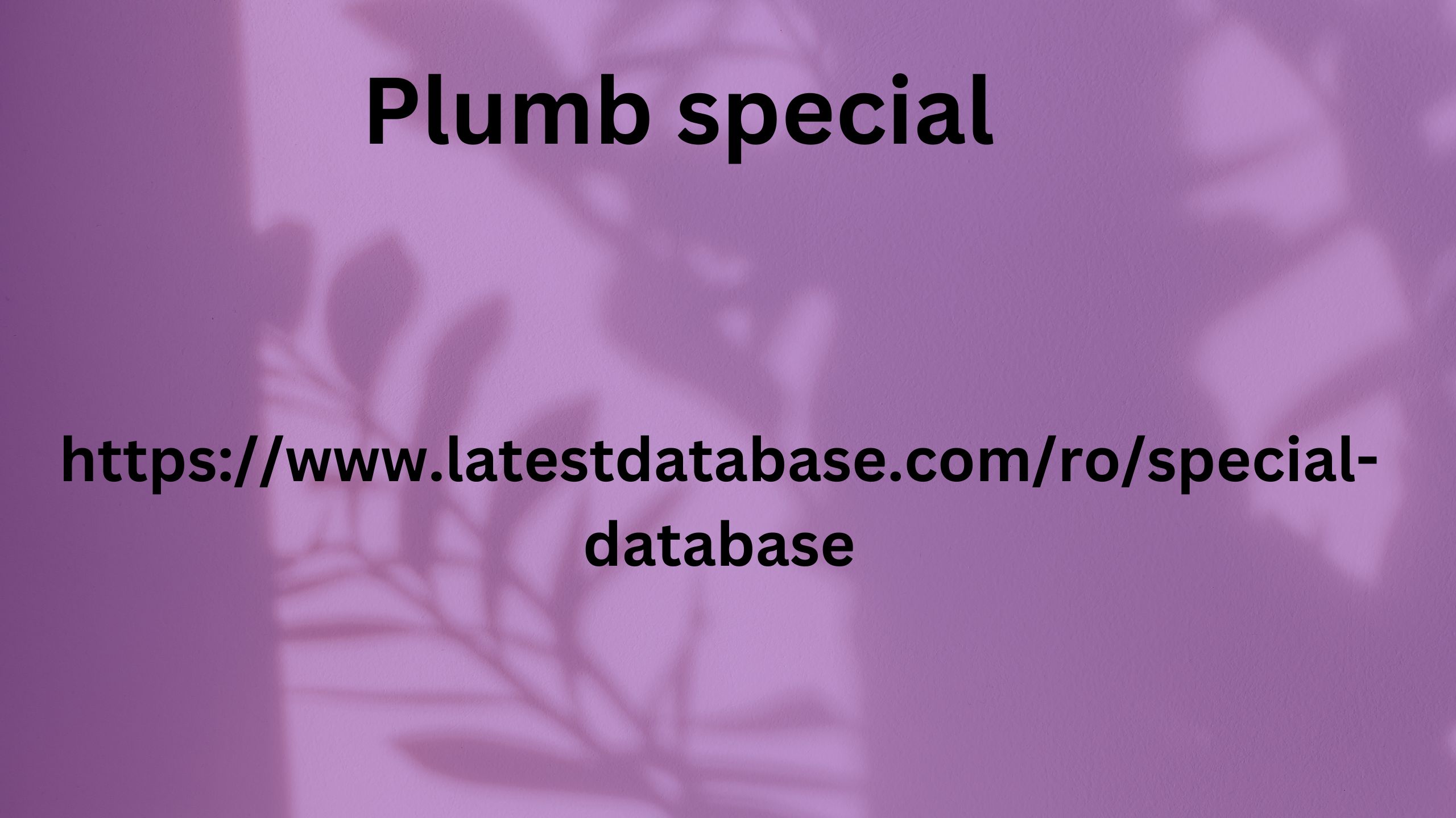 Plumb special