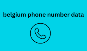 belgium phone number data