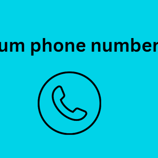 belgium phone number data