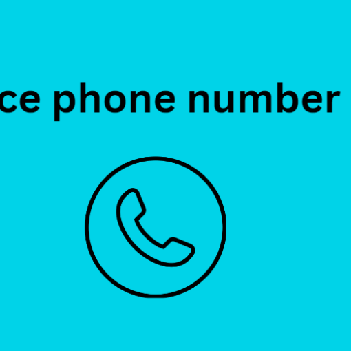 france phone number data