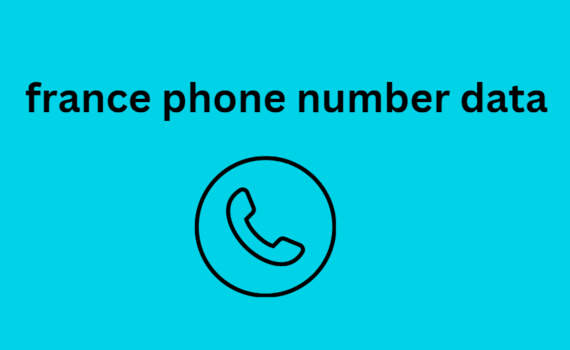 france phone number data