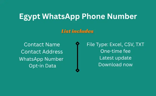 Egypt whatsapp phone number